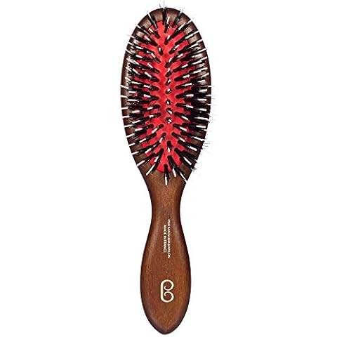 L'Artisan Brossier - Pneumatic Thistle Hair Brush in Solid Beech - Traditional Small Brush - Pure Boar Bristles and Nylon Pieces - Made in France Cover