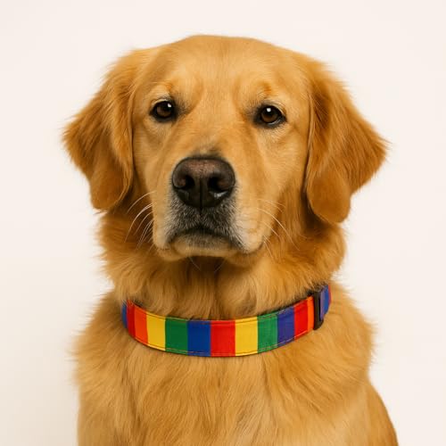 Image of Lana Paws Rainbow Skin-Friendly, Polycotton Fabric Dog Collar Belt, Large, Adult Labradors, Golden Retrievers & Similar,24 Inch,1.5 Inch