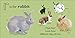 R is for Rabbit (The Animal Alphabet Library)
