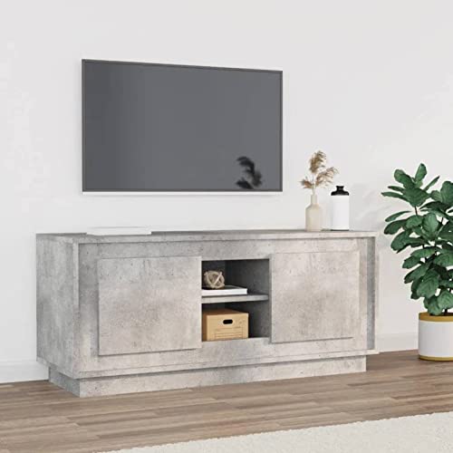 LAPOOH - Mueble para TV, color gris, hormigón, 102 x 35 x 45 cm, madera de ingeniería, mueble de televisión, mesa baja LED, colores