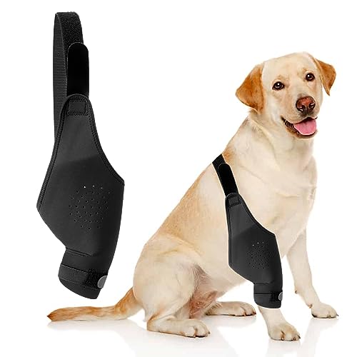 Image of Knee Brace Dog Thigh Protection Sleeve Joint Knee Pads Leg Protection Weakness Injury Protection Postoperative Rehabilitation Bracket Fixed Leg Straps, Black
