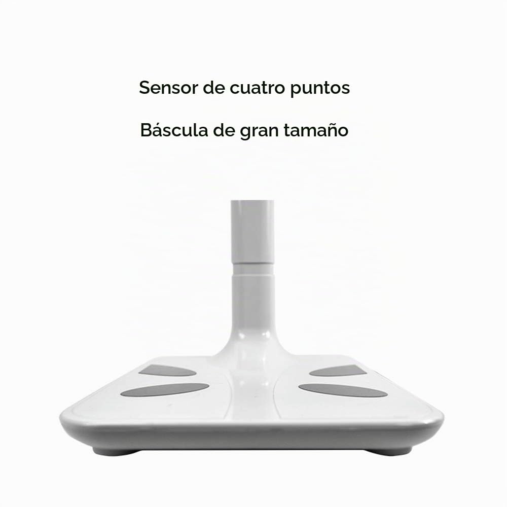 Báscula Digital para médicos, Escala de Peso y Altura por ultrasonidos, analizador de composición Corporal, 441 Ib (200 kg)