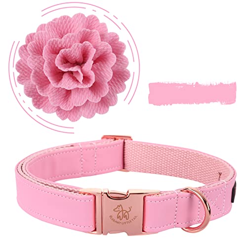 Rose Gold Dog Collar 11 Elegant little tail Pink Leather Dog Collar, Durable Pet Collar, ...
