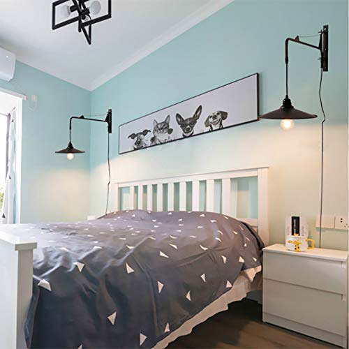 Niuyao Vintage Industrial Wall Sconces Fixture With 23.6 Inch Adjustable Swing Arm Unique Plug-In Wall Lighting With On Off Switch 448747 #TOP5