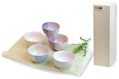 Hagi Ware Shikisai Mame Bowl Set of 5