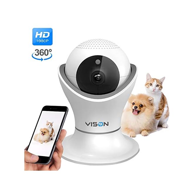 indoor dog camera