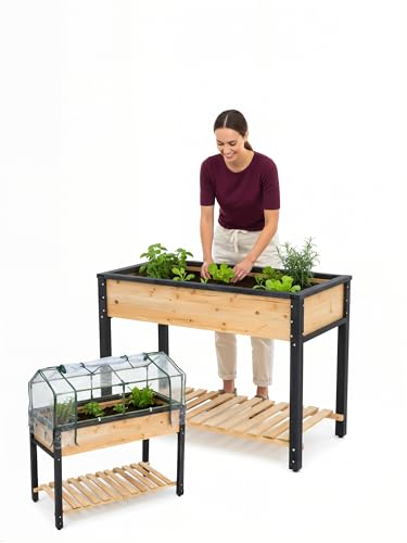 GOJ Raised Garden Bed Wood 48x24x32 inch with Greenhouse & Lockable Wheels - Elevated Wood Planter Box for Outdoors Vegetable Flower Bed Herb Planter - 400 lbs Capacity
