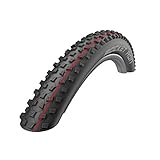 Schwalbe