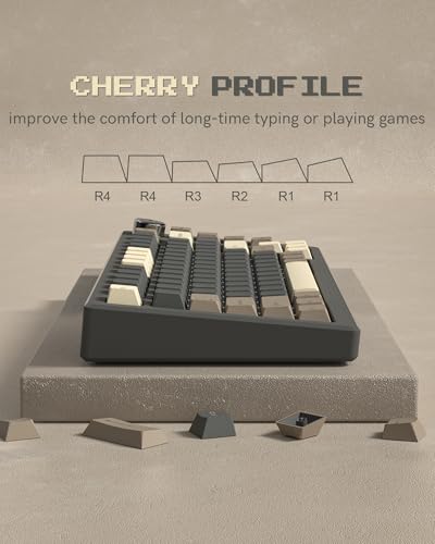 Image of Womier Custom PBT Doubleshot Keycaps, Cherry Profile Retro, 60 /65 /75 /100 Percent, 61 /64 /68 /84 /87 /100 /104 /108 Keys, Brown Gray