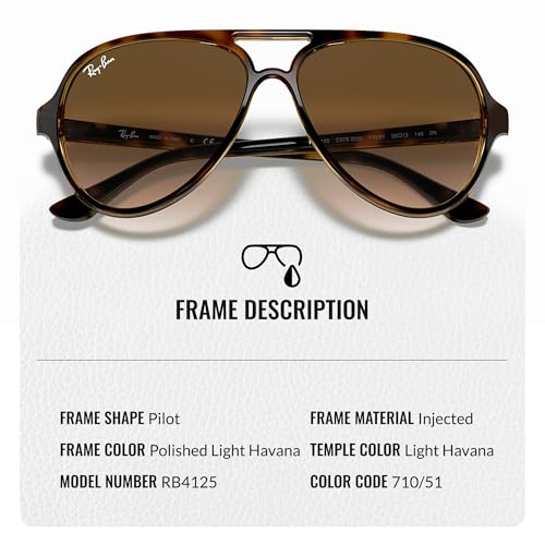 Ray-Ban RB4125 CATS 5000 CLASSIC Pilot Shaped Sunglasses for Men & Women with Official RAYBAN Eyewear Kit3
