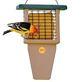 Birds Choice Suet Bird Feeder with Tail Prop,...