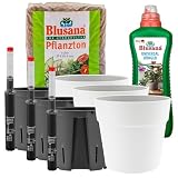 LENI Hydrokultur Komplett-Set | Hydro-Bew&auml;sserungssystem | Komplettsystem mit Kulturtopf, Gie&szlig;anzeige, Pflanzton, D&uuml;nger | Blumentopf Classic &Oslash; 16 cm H&ouml;he 14 cm | F&uuml;r Zimmerpflanzen | Outdoor & Indoor