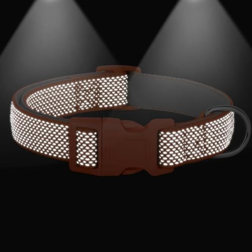 Didog Reflektierendes Hundehalsband mit Schnalle, verstellbar, weiches Neopren, gepolstert, Nylon, Haustierhalsbänder für kleine, mittelgroße und große Hunde, Orange, S