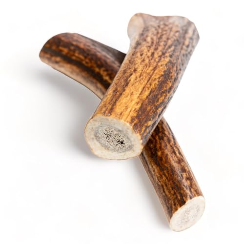 Dilecti Premium Natural Deer Antlers For Dogs, Rich in Proteins & Minerals, Durable