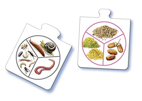 Ravensburger - Tiptoi® - Gioco interattivo - Tutti...