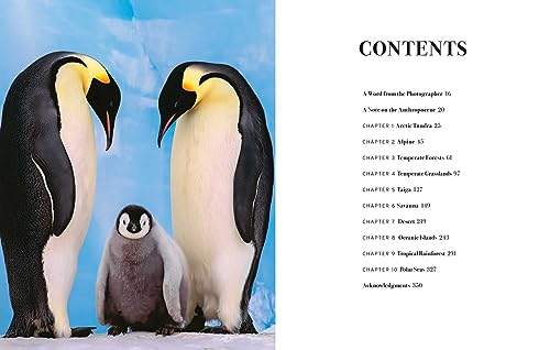 Image of Wild Lives: The World's Most Extraordinary Wildlife