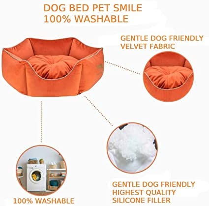 Image of PetLux Pet Smile Super Soft Reversible Bed for Indoor Cats and Dogs, Round Sofa Basket for Puppy and Kitty with Pillow (L, Red)