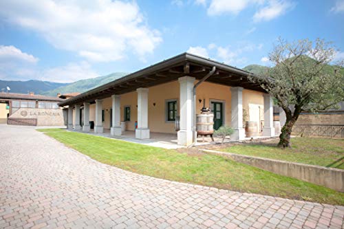 La Roncaia Ribolla Gialla Cl.75 X6 - 4