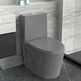 WIIS' IDEA W43276