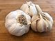 Pflanzknoblauch Hoffmeyer Messidrome – Weiße Knoblauchzwiebel für den Anbau