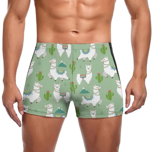 Maillot de bain alpaga cactus pour homme idéal pour vos journées à la plage