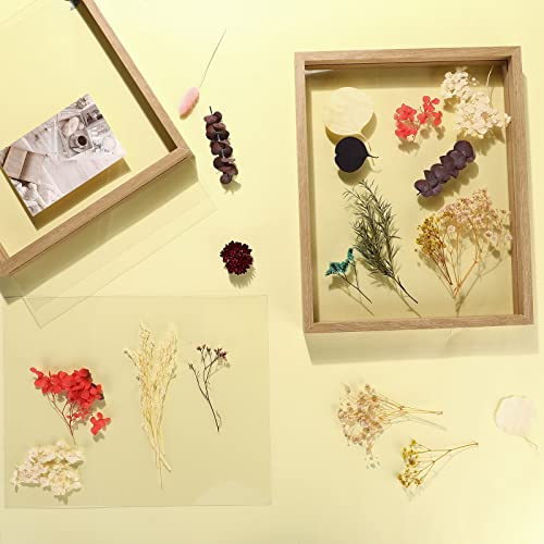 Kigley 4 Pcs 11X14 Floating Frame Solid Wood Double Glass Picture Frame Floating Picture Frame Display Photo Frame With Hanging Hardware For Wall Mount Or Tabletop Standing (Wood Color) #TOP4