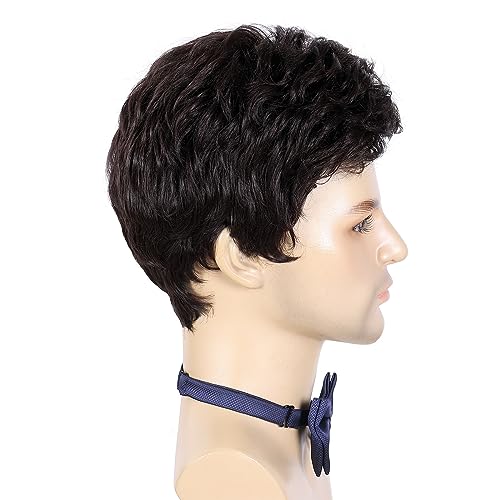 Ddhair Mens Brown Wig,Short Brown Wig Men Layered Natural Fluffy Synthetic Hair Halloween Costume Wigs For Men Man #TOP3