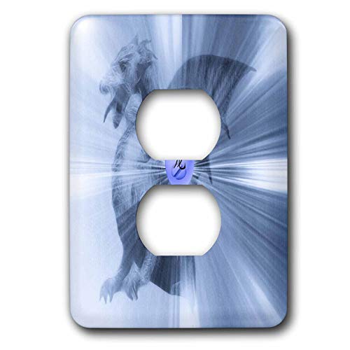 Dragon J 2 cache prise double plaque décorative interrupteur lsp_12601_6