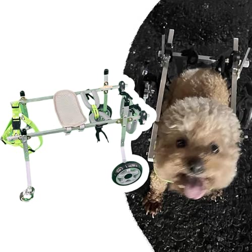 Silla de ruedas para perros ajustable con 4 ruedas de ejercicio para mascotas