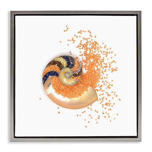Nautical Orange Nautilus Spiral, 24 x 24 Inch Canvas in Floater Frame