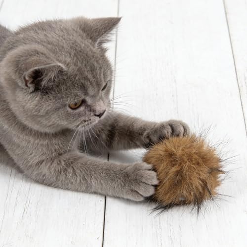 Balones de pompones para gatos de interior FUTUREORYY pack de 10 peluches marrones 7