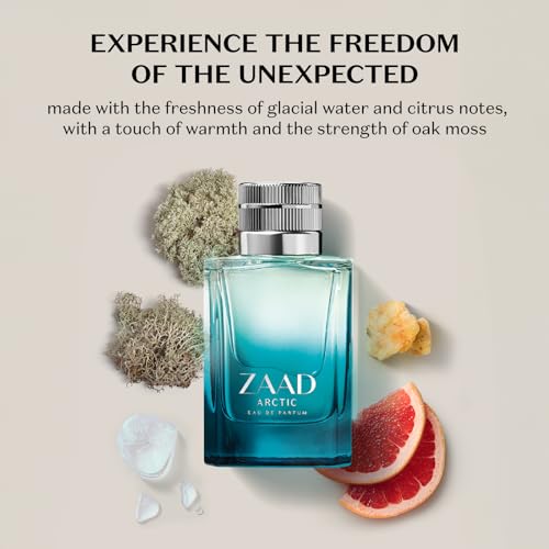 Perfume Zaad Arctic Eau de Parfum 95ml - O Boticario Masculino