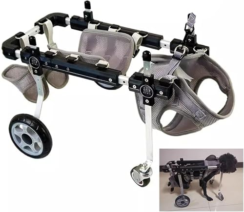 Chariot pour chien paralysé taille M : aidez votre animal à remarcher après un AVC