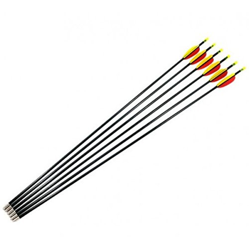 Archery Fibreglass Arrows set of 6x28"