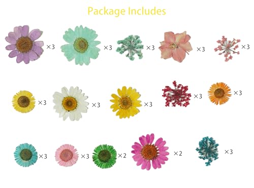 Kit de 43 flores secas prensadas para manualidades miniatura 2