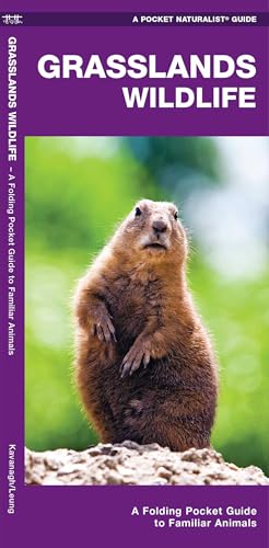 Grasslands Wildlife (Nature Observation North America)