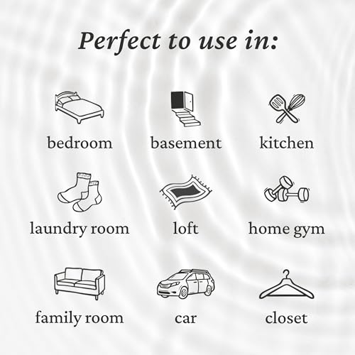 Image of Fresh Wave Original Room and Fabric Air Freshener Spray, 8 oz | Plant-based formula, Pet-safe and people-safe, Fabric and room deodorizer , For upholstery, carpets, shoes, and pet bedding