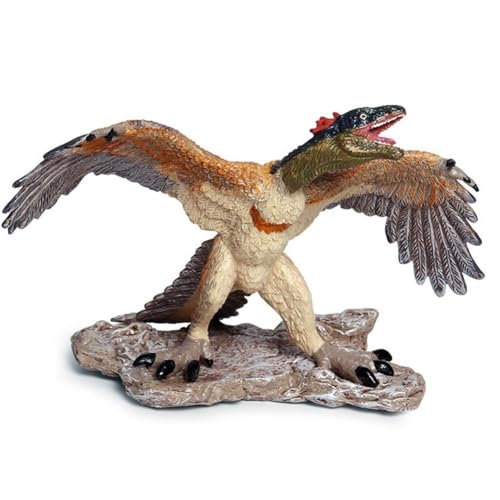 nc̒u f  V~[V A  tBMA qp   ItBX  H|i