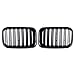 LCFZDQ Auto Brillant  Noir Pare-Chocs Avant Rein Double Ligne Grill Fit pour BMW E36 325I 320I 318is 1992-1996 51138122237 51138122238,Noir Brillant