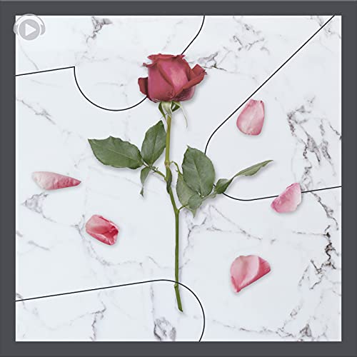 Sowbread (feat. sorateras)