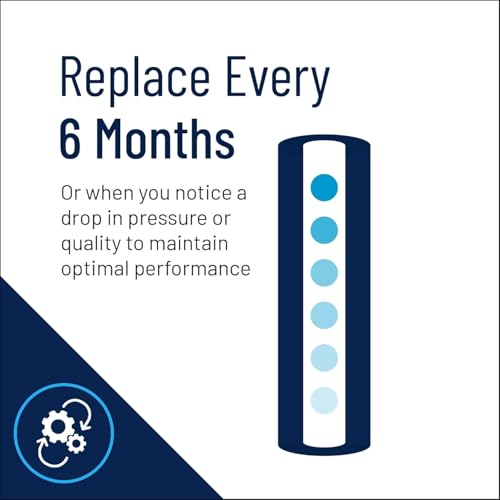 image for Pentair Pentek NCP-20 Carbon Water Filter, 20-Inch, Whole House Non-Ce