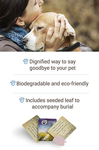 Paw Pods Biodegradable Pet Casket, Small Pod - Thumbnail 4