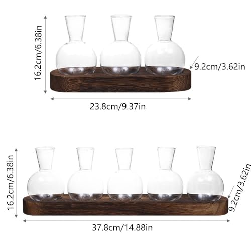 Jarrón de cristal de alta transparencia para cultivo hidropónico y decoración de diseño 3