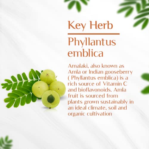 Image of Maharishi Ayurveda Organic Amalaki Tablet 700 MG | Amla Rasayana | Detoxifies Body | Rich In Vitamin C | Boosts Immunity | Improves Digestion (60 Capsules)