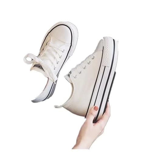 [Msymay] Xj[J[ fB[X C\[ EFbW\[  nCJbg ^ JWA Ȃ C