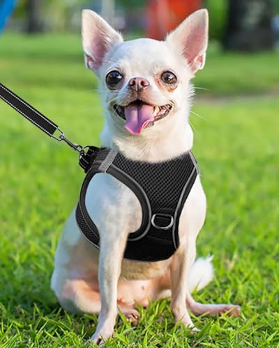 Joytale Hundegeschirr, Reflektierend Weich Gepolstert Hunde Geschirr, Air-Mesh Atmungsaktiv Brustgeschirr für Welpen, Kleine Hunde, XS, Schwarz