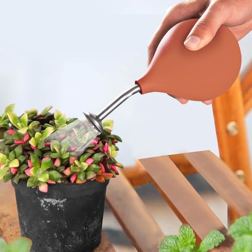 Allrounda Gießbrause Ball Sprüher Edelstahl Ausguss, Gießkannen Alternative für kleine Pflanzen Stecklinge Blumen Setzlinge (Terracotta/Rot)