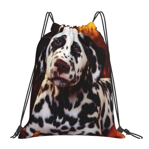 В V[Ye jobO R _VA Rbg|[` ̑ V[YP[X yʖh [֗ obNpbN j̎q ̎q jp