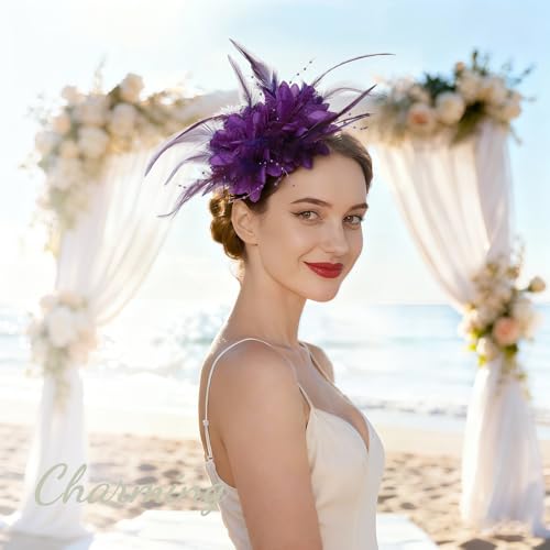 Image of DRESHOW Fascinators Hats for Women Tea Party Fascinator Hats Vintage 50s Headwear Cocktail Wedding Church Derby Hat