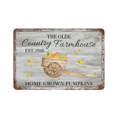 Panneau citrouilles Happy Fall rustique de qualité supérieure style rétro chic 30x45 cm